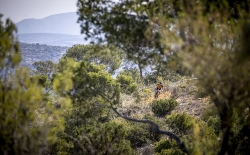 XTERRA_Greece_2025_Elite_CDP_233