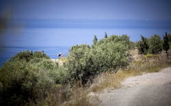 XTERRA_Greece_2025_Elite_CDP_271
